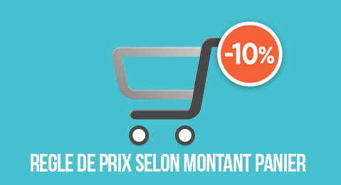 -10% sur une catégorie dès 300€ d'achat sur la catégorie